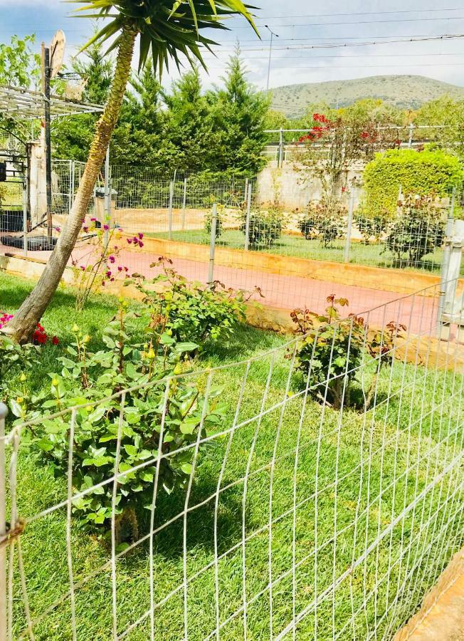Sea View Countryside Home Near Athens Atenas Exterior foto